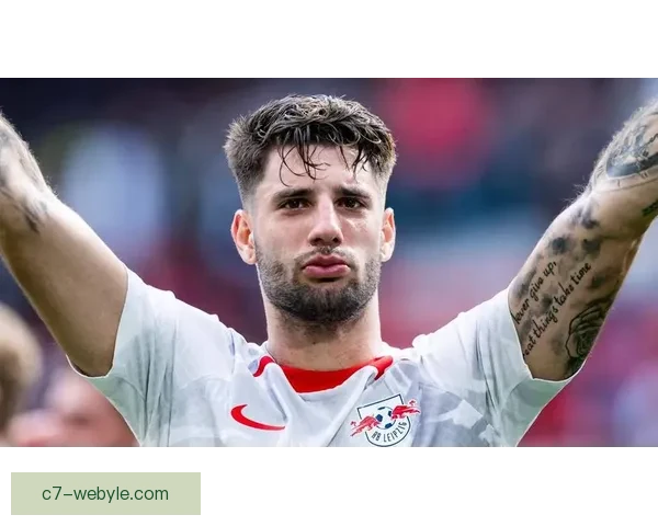 哈兰德索博斯洛伊通道密聊引热议